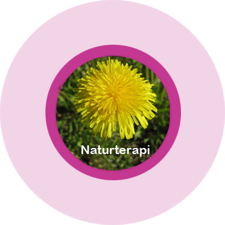 Naturterapi - Colour Mirrors - Kinesiologi - Ki-terapi - Hageterapi - behandling - terapi
